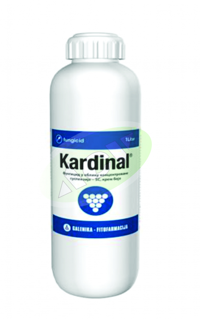 KARDINAL 1/1